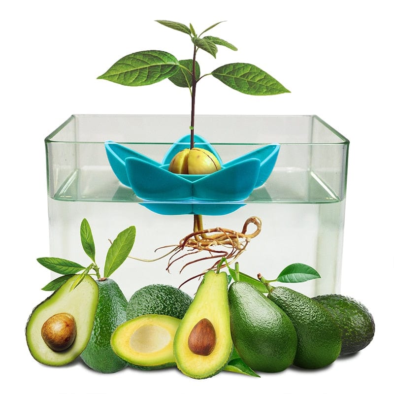 One Tree Hydroponics Gardening Indoor Kitchen Garden