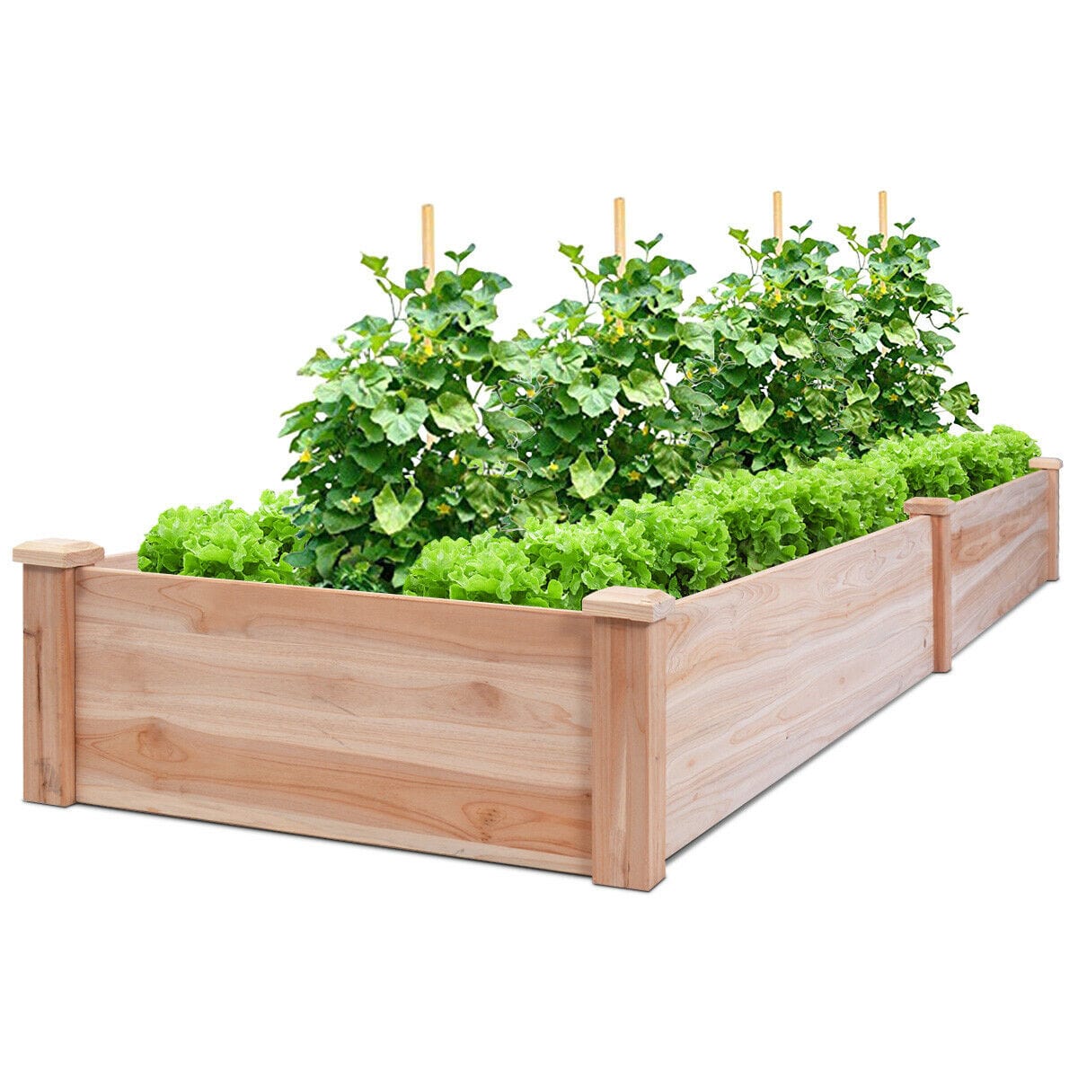 One Tree Hydroponics Gardening Wooden Raised Garden Bed