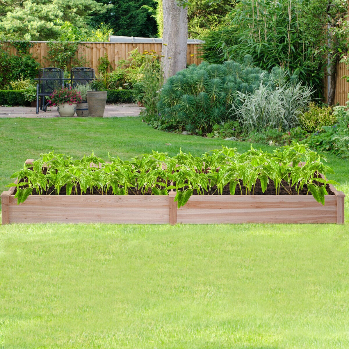 One Tree Hydroponics Gardening Wooden Raised Garden Bed