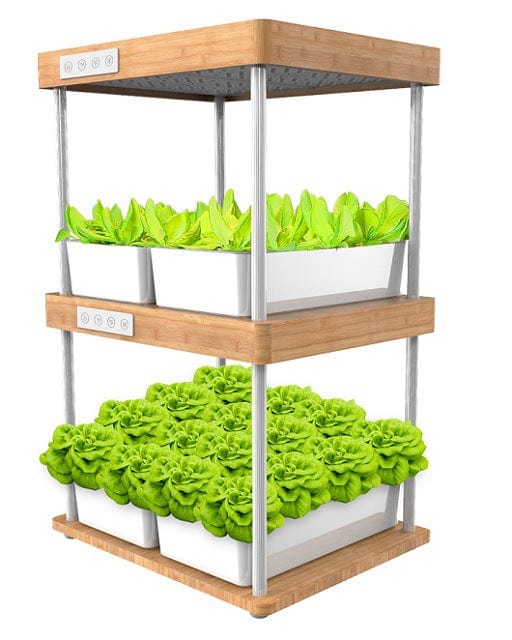 indoor plant machine Natural Bamboo Plant Growth Machine – One Tree Hydroponics