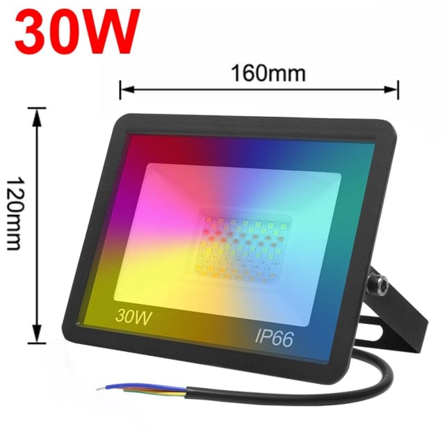 One Tree Hydroponics Outdoor Lighting 30W-220V Smart Outdoor Spotlight