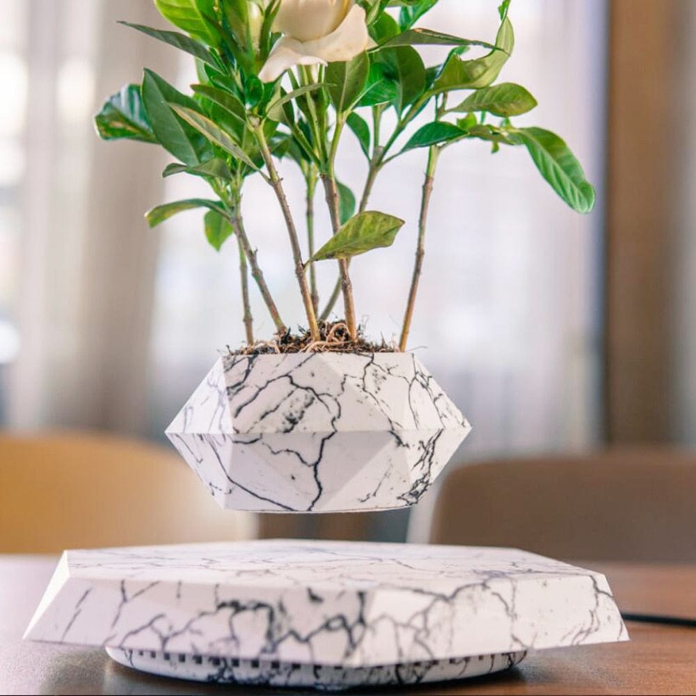 One Tree Hydroponics Plant Pots Levitating Air Bonsai Pot