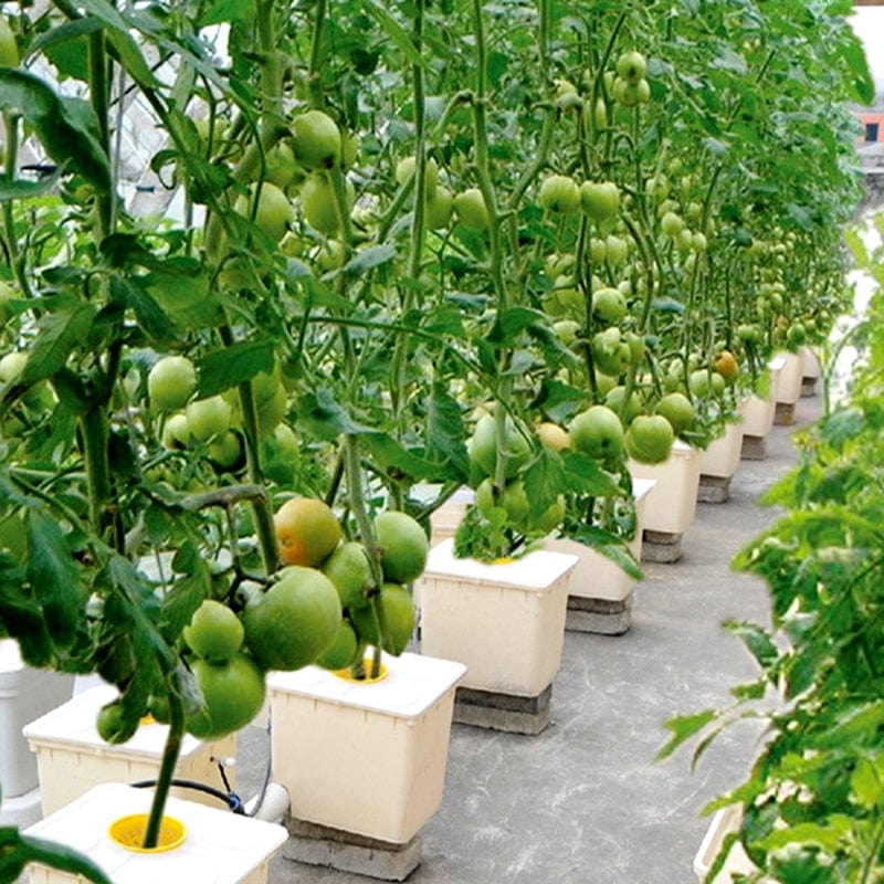 One Tree Hydroponics Plant Pots Plant Bucket System