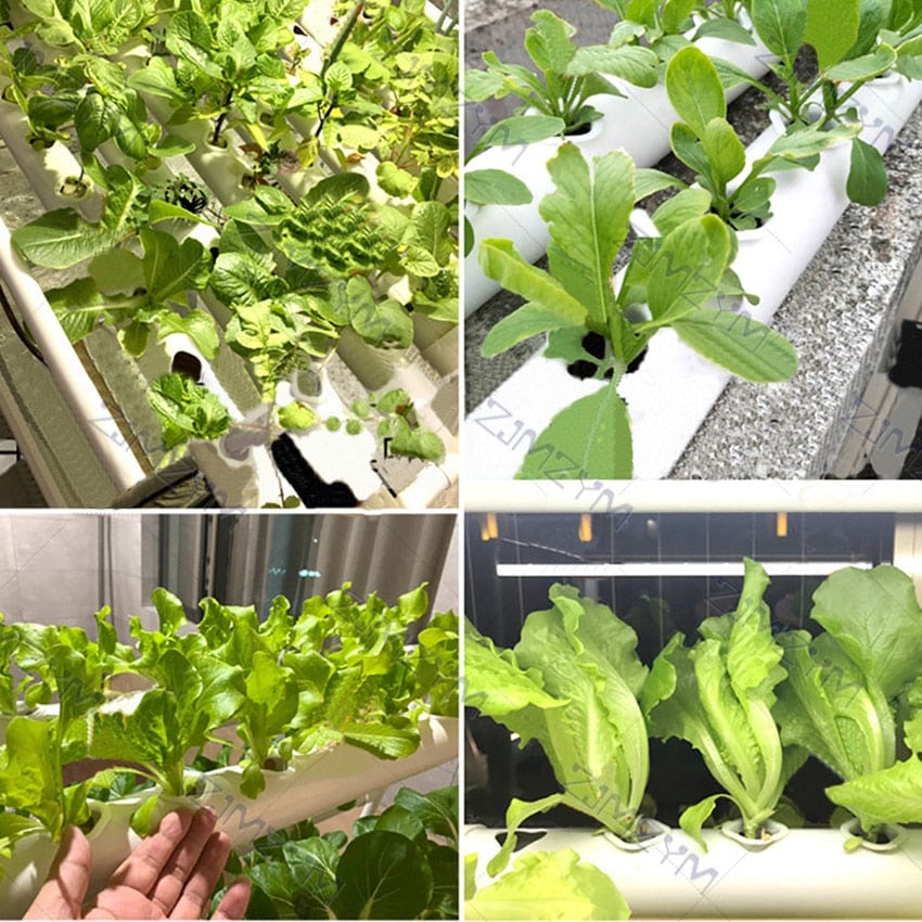 One Tree Hydroponics Watering & Irrigation Hydroponic Site Grow Kit 12V