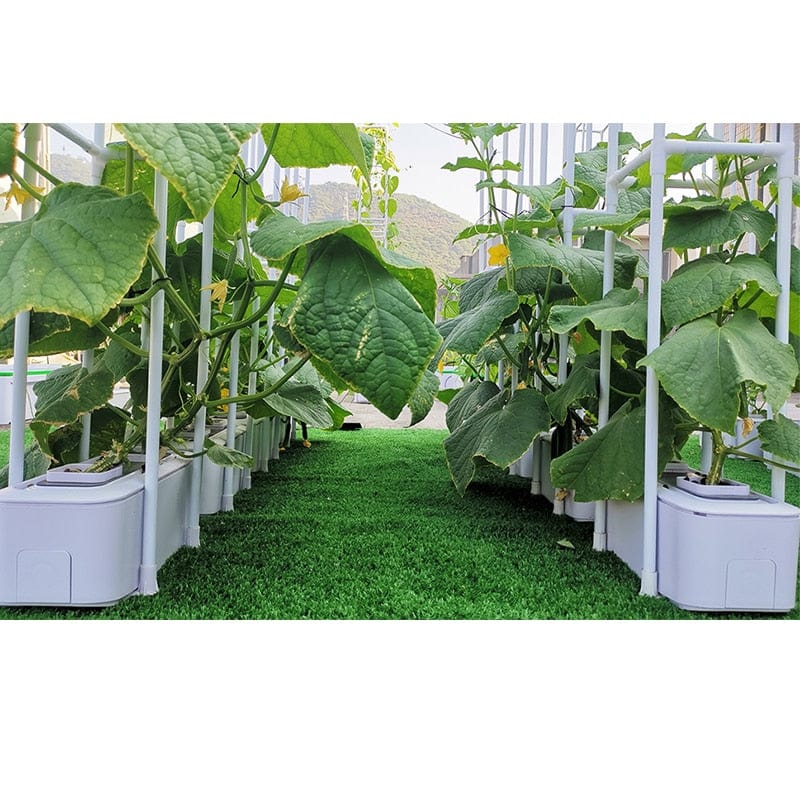 One Tree Hydroponics Watering & Irrigation Hydroponics System w/ Automated Controller