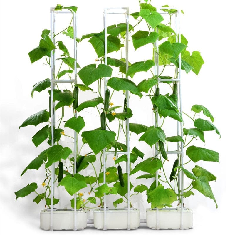 One Tree Hydroponics Watering & Irrigation Hydroponics System w/ Automated Controller