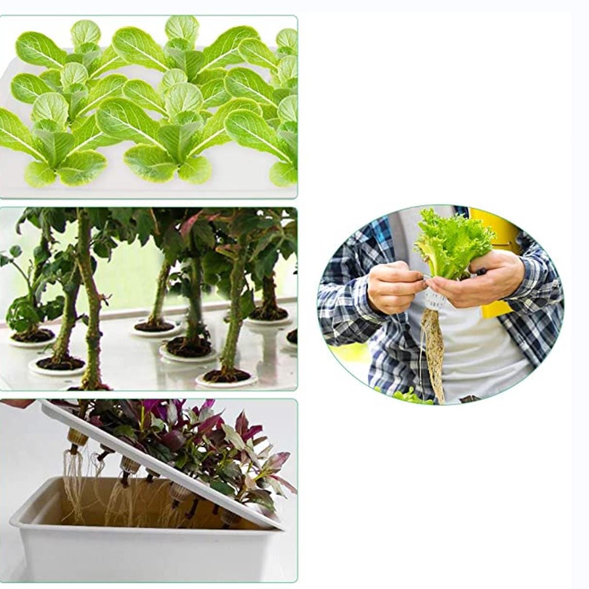 one plant hydroponic Self Watering Indoor Hydroponic Grow Kit/24 Sites – One Tree Hydroponics