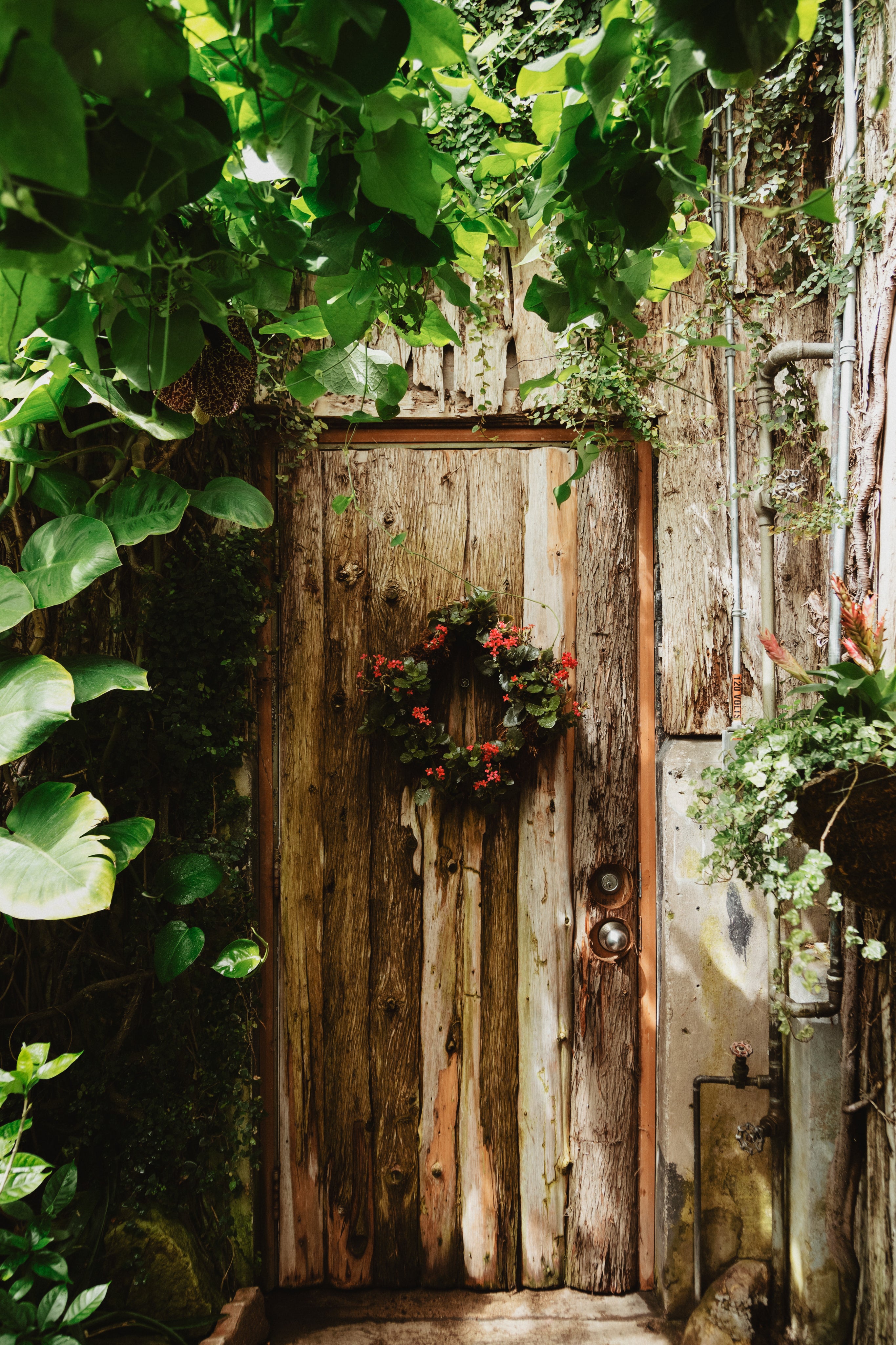 secret-garden-wooden-door-with-wreath.jpg