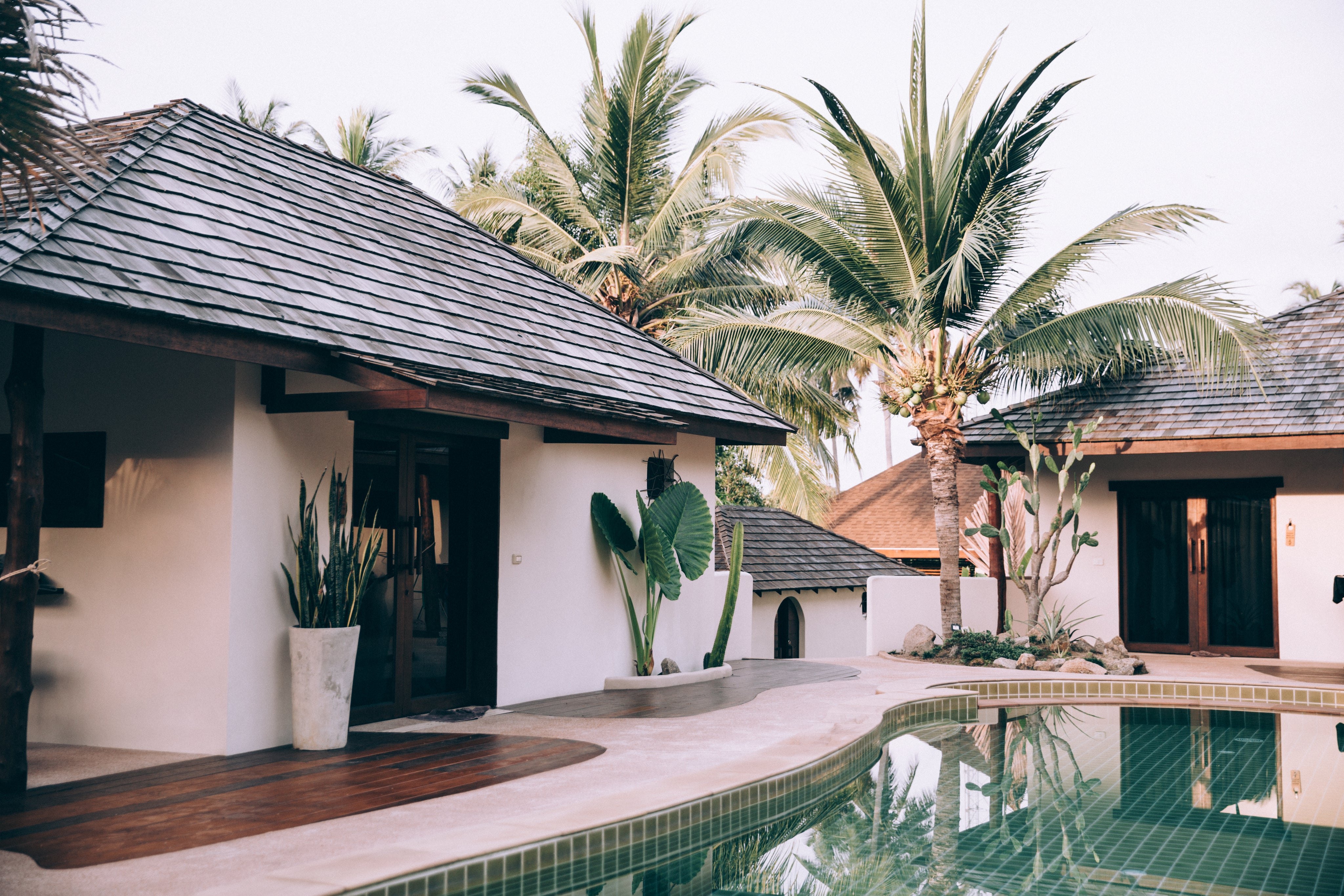 tropical-pool-outside-a-white-house.jpg