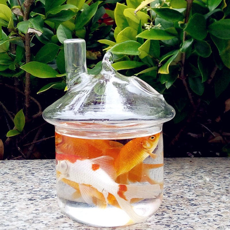 One Tree Hydroponics Fish Tank Glass Fish Tank Pot