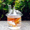 One Tree Hydroponics Fish Tank Glass Fish Tank Pot