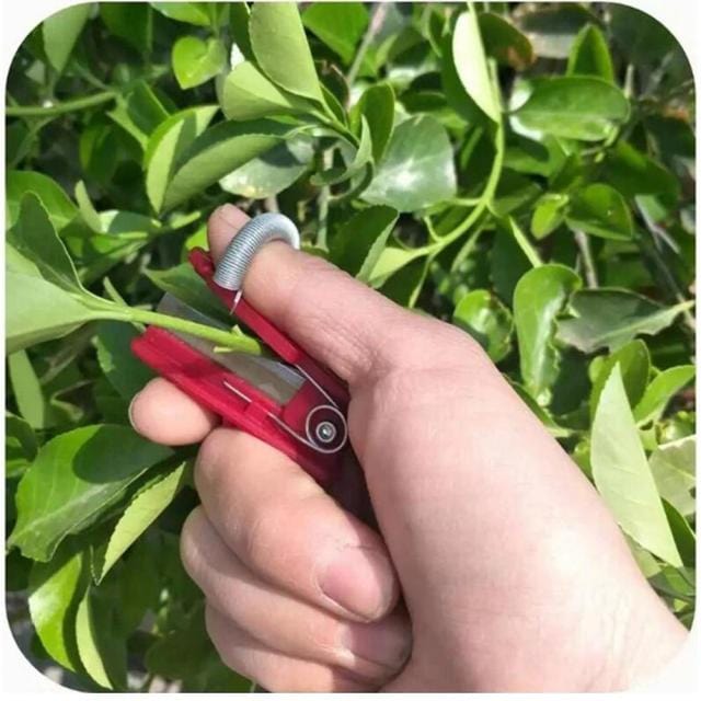 One Tree Hydroponics Gardening Vegetable Thump Knife Separator