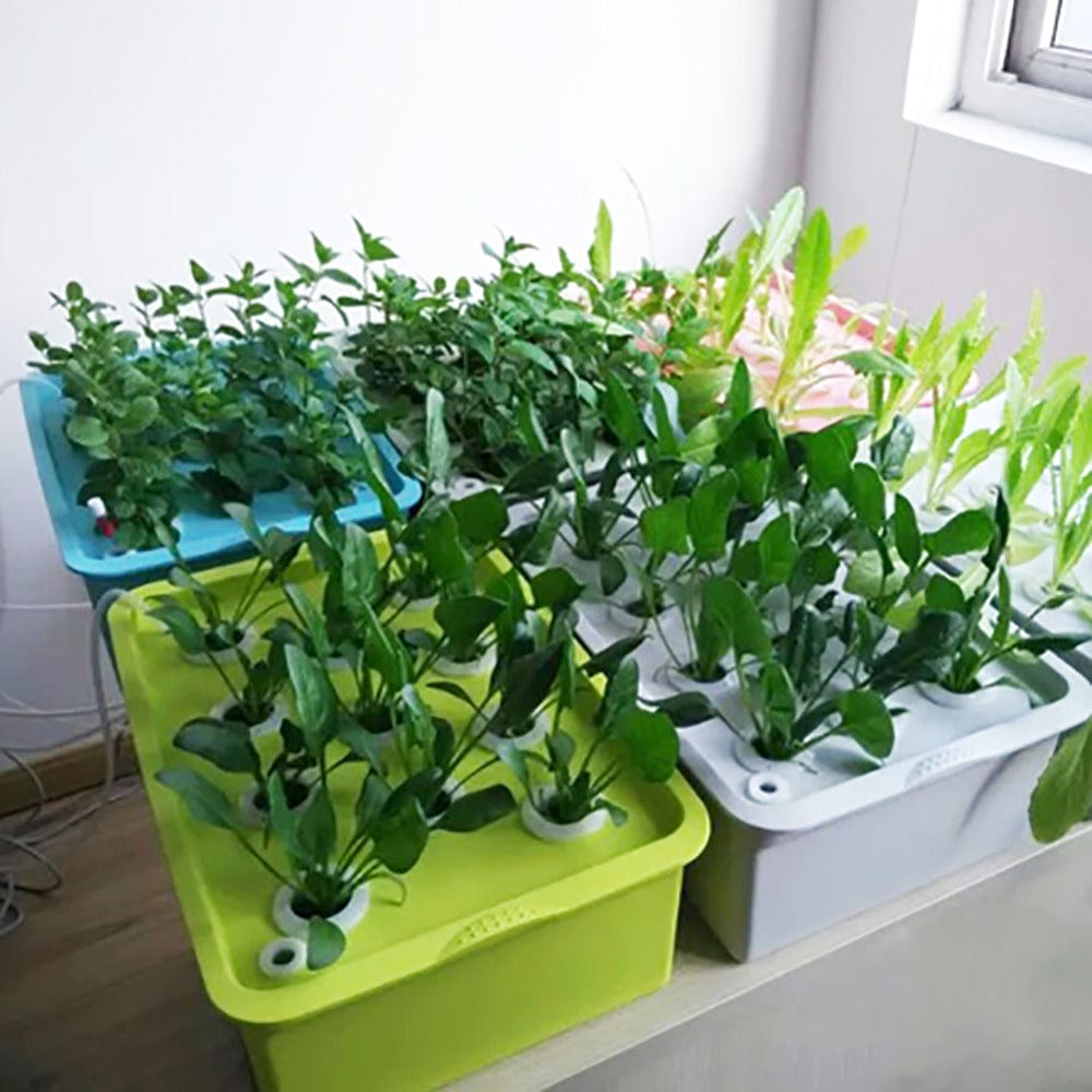 24 plant hydroponic system Hydroponic Kit 24 Holes Plant Site – One Tree Hydroponics
