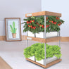 One Tree Hydroponics Indoor Grow Kit Natural Bamboo Plant Growth Machine