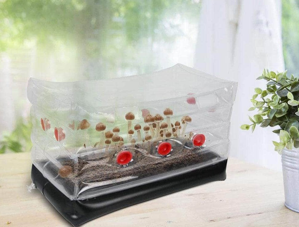 One Tree Hydroponics Indoor Grow Kit Portable Mushroom Planting Box