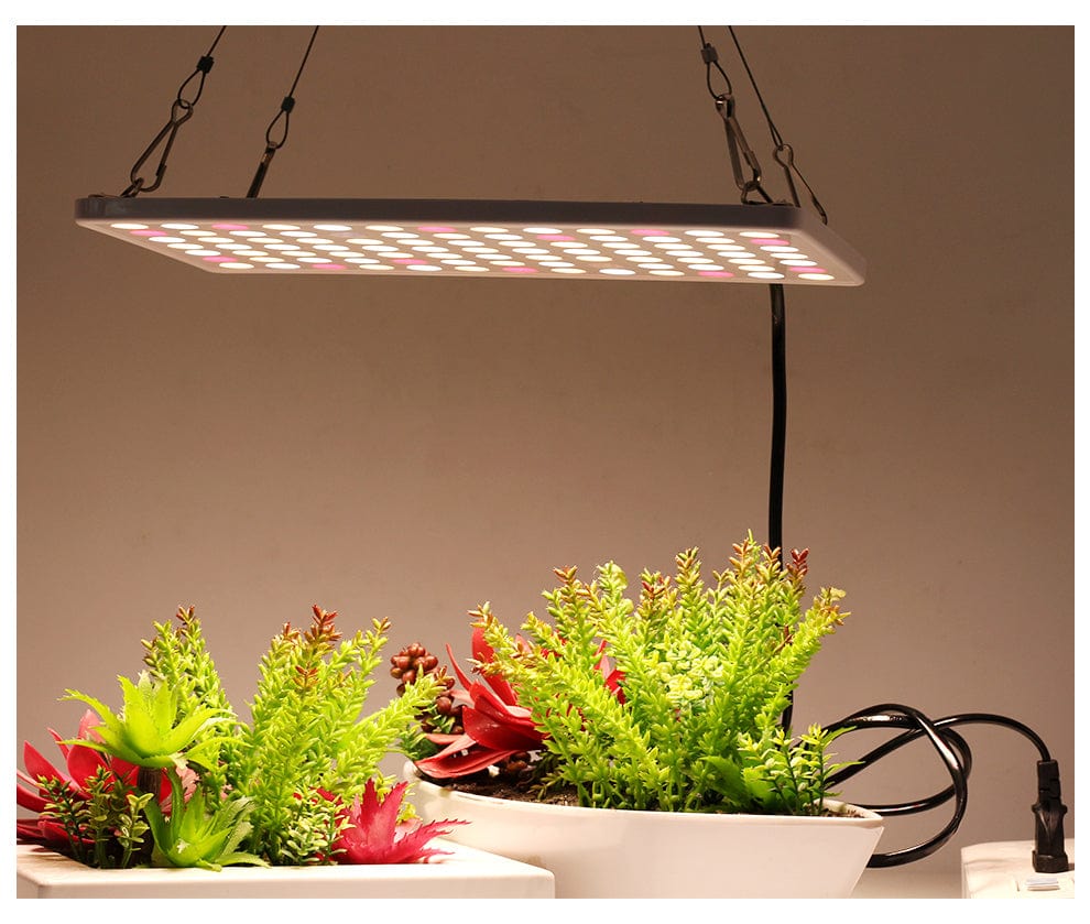 One Tree Hydroponics Indoor Grow Lights Full Spectrum LED Grow Light 600W