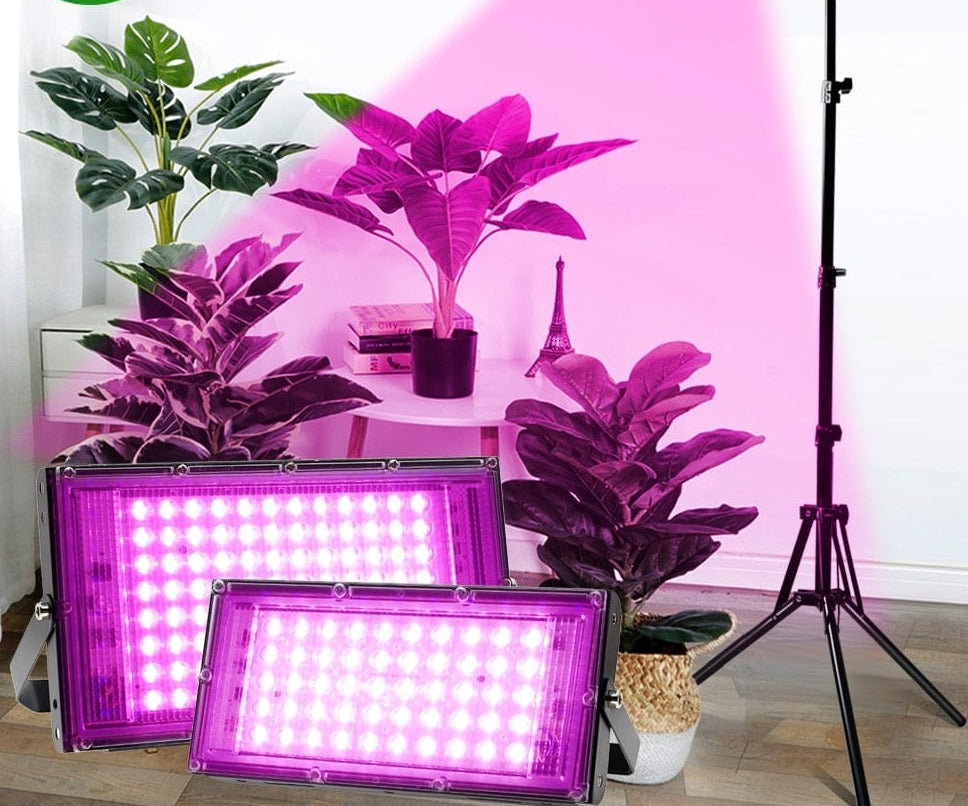 One Tree Hydroponics Indoor Grow Lights Full Spectrum LED Grow Light With Stand AC220V