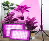 One Tree Hydroponics Indoor Grow Lights Full Spectrum LED Grow Light With Stand AC220V