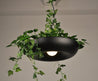 One Tree Hydroponics Interior Lights Black Retro Industrial Style Plant Chandelier