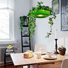 One Tree Hydroponics Interior Lights Retro Industrial Style Plant Chandelier