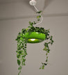 One Tree Hydroponics Interior Lights Retro Industrial Style Plant Chandelier