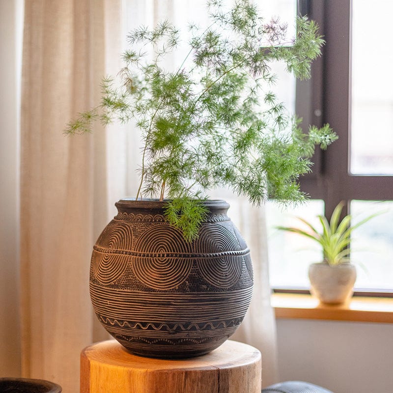 indoor african plants Ancient African Flower Pot – One Tree Hydroponics