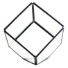 One Tree Hydroponics Plant Pots Black Cube Hydroponic Vases