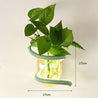 One Tree Hydroponics Wall Lights Green Color / White Light Nordic Wooden Plant Wall Light